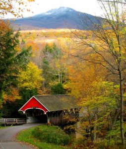 Flume Covered Bridge Franconia Notch