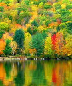 Newfound Lake, Bristol