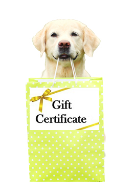 Gift Certificate Image with Dog Holding a Gift Bag