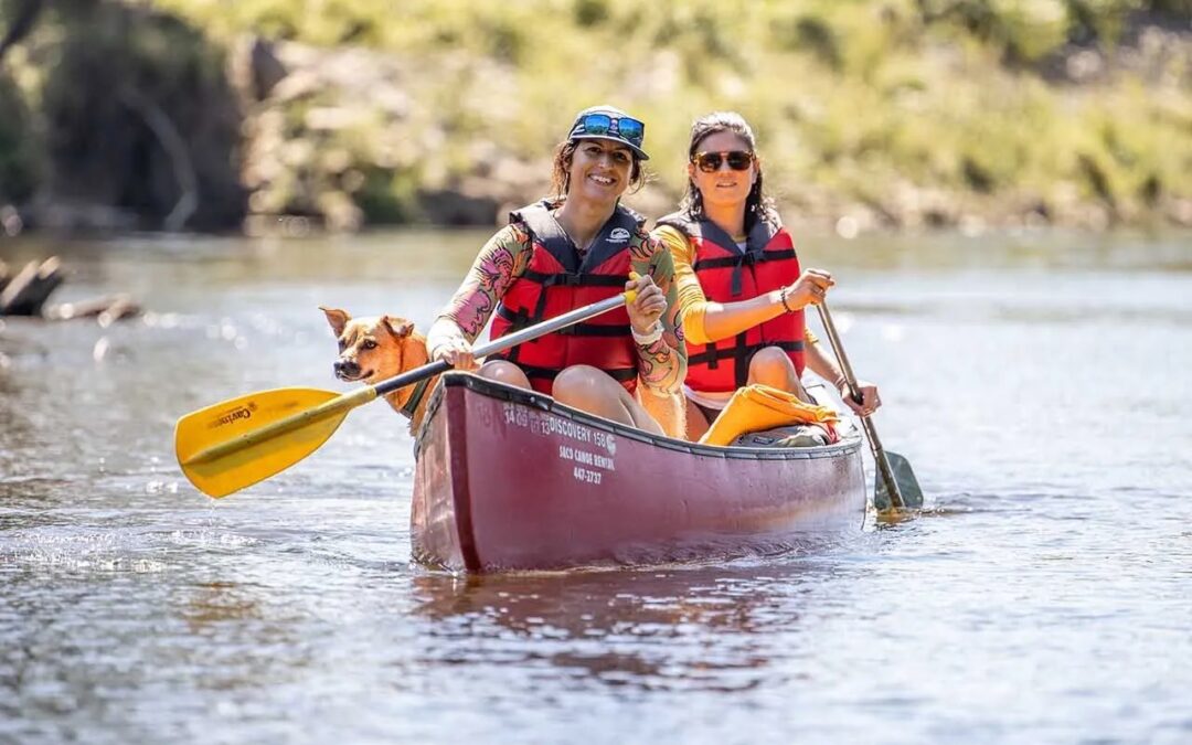 Area Activities: Saco River Tubing